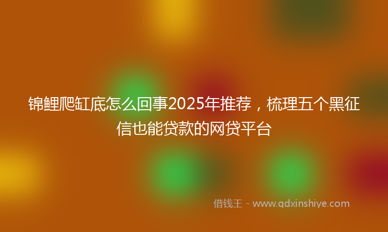 锦鲤爬缸底怎么回事2025年推荐，梳理五个黑征信也能贷款的网贷平台