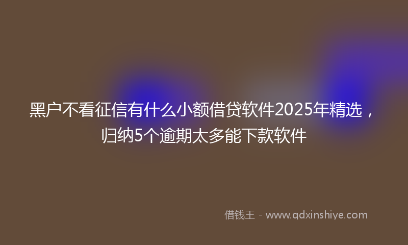 黑户不看征信有什么小额借贷软件2025年精选，归纳5个逾期太多能下款软件