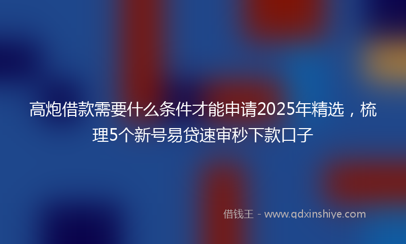 高炮借款需要什么条件才能申请2025年精选，梳理5个新号易贷速审秒下款口子