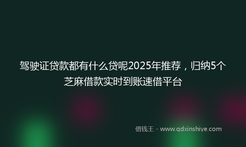 驾驶证贷款都有什么贷呢2025年推荐，归纳5个芝麻借款实时到账速借平台
