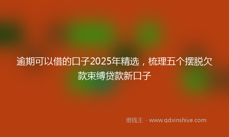 逾期可以借的口子2025年精选，梳理五个摆脱欠款束缚贷款新口子