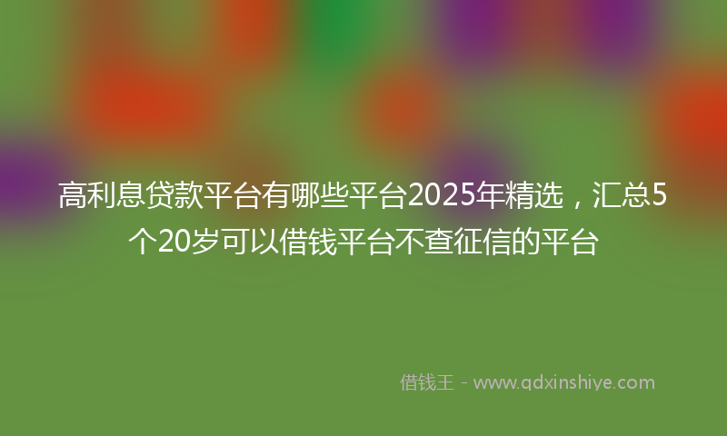 高利息贷款平台有哪些平台2025年精选，汇总5个20岁可以借钱平台不查征信的平台