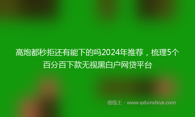 高炮都秒拒还有能下的吗2024年推荐，梳理5个百分百下款无视黑白户网贷平台