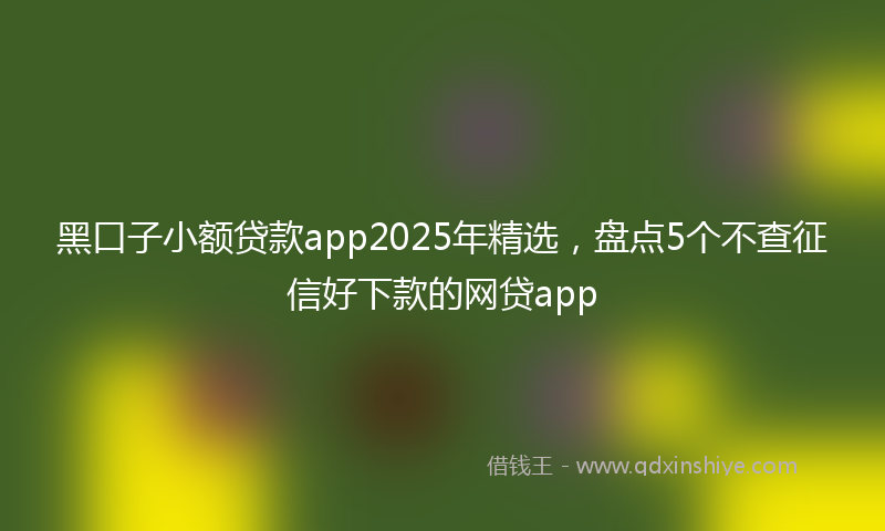 黑口子小额贷款app2025年精选，盘点5个不查征信好下款的网贷app