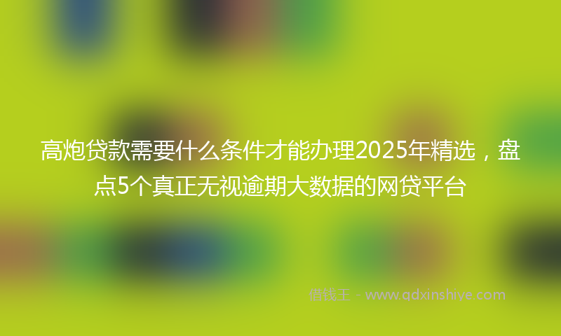 高炮贷款需要什么条件才能办理2025年精选，盘点5个真正无视逾期大数据的网贷平台