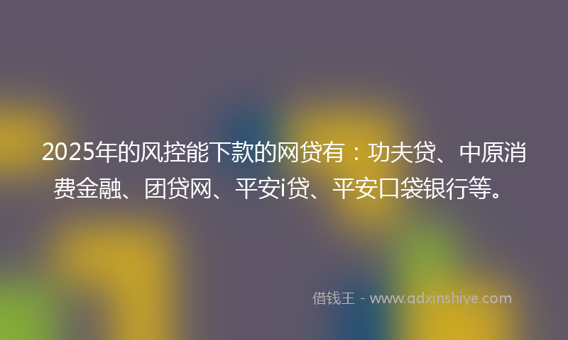 2025年的风控能下款的网贷有：功夫贷、中原消费金融、团贷网、平安i贷、平安口袋银行等。
