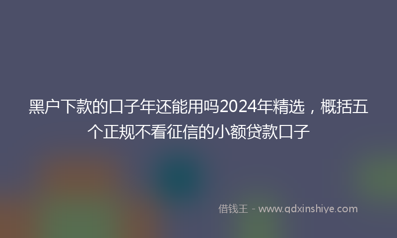 黑户下款的口子年还能用吗2024年精选，概括五个正规不看征信的小额贷款口子