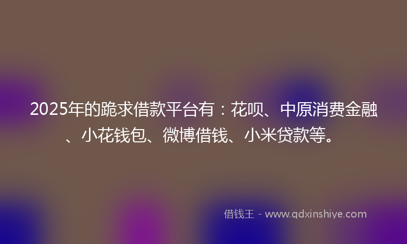2025年的跪求借款平台有：花呗、中原消费金融、小花钱包、微博借钱、小米贷款等。