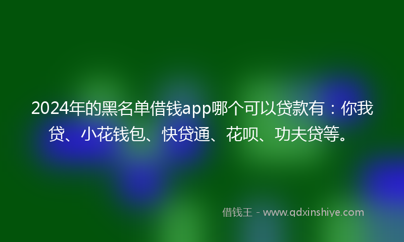 2024年的黑名单借钱app哪个可以贷款有：你我贷、小花钱包、快贷通、花呗、功夫贷等。