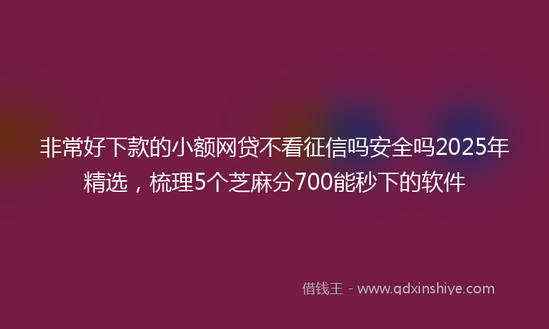 非常好下款的小额网贷不看征信吗安全吗2025年精选，梳理5个芝麻分700能秒下的软件