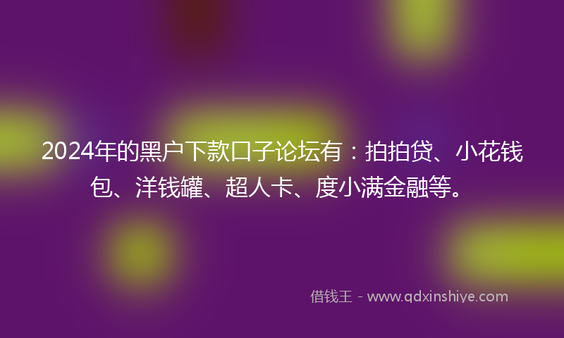 2024年的黑户下款口子论坛有：拍拍贷、小花钱包、洋钱罐、超人卡、度小满金融等。