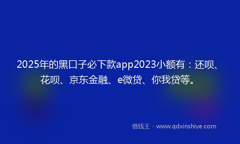 2025年的黑口子必下款app2023小额有：还呗、花呗、京东金融、e微贷、你我贷等。