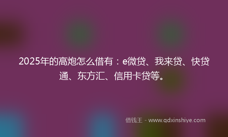 2025年的高炮怎么借有：e微贷、我来贷、快贷通、东方汇、信用卡贷等。