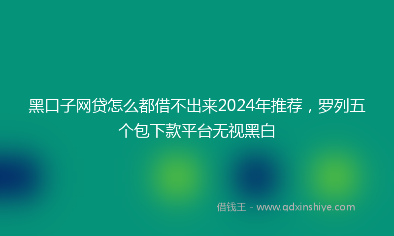 黑口子网贷怎么都借不出来2024年推荐，罗列五个包下款平台无视黑白