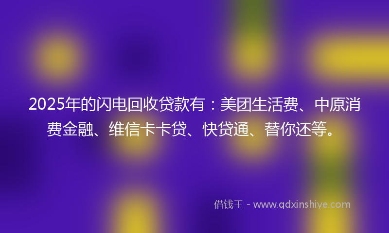 2025年的闪电回收贷款有：美团生活费、中原消费金融、维信卡卡贷、快贷通、替你还等。