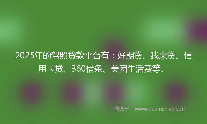 2025年的驾照贷款平台有：好期贷、我来贷、信用卡贷、360借条、美团生活费等。