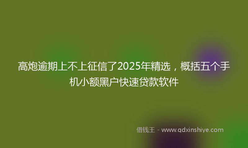 高炮逾期上不上征信了2025年精选，概括五个手机小额黑户快速贷款软件