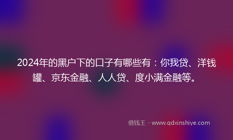2024年的黑户下的口子有哪些有：你我贷、洋钱罐、京东金融、人人贷、度小满金融等。