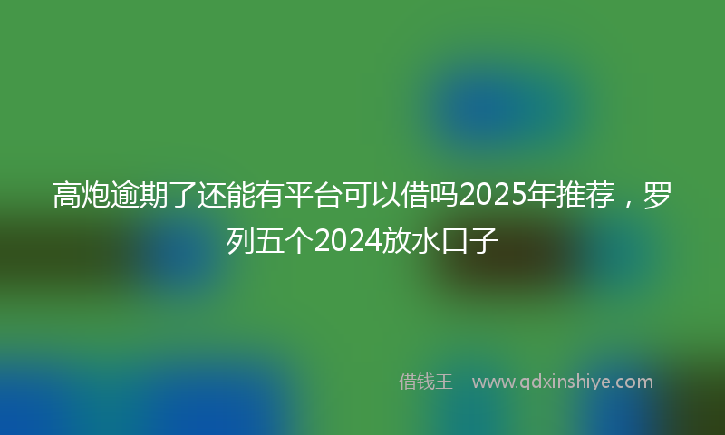 高炮逾期了还能有平台可以借吗2025年推荐，罗列五个2024放水口子