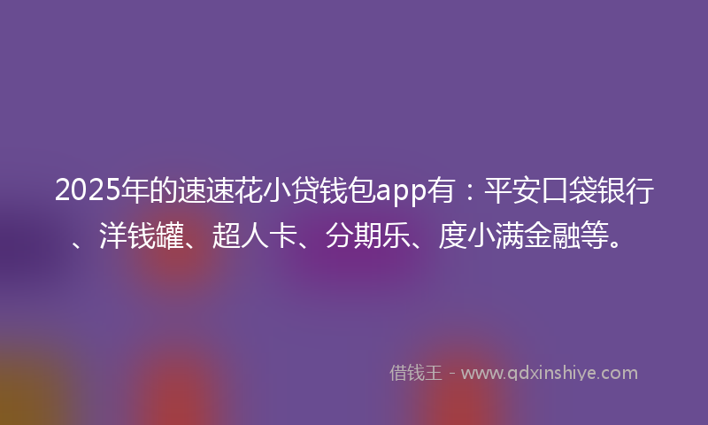2025年的速速花小贷钱包app有：平安口袋银行、洋钱罐、超人卡、分期乐、度小满金融等。
