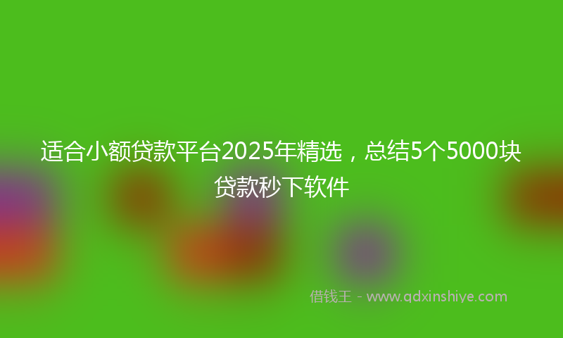 适合小额贷款平台2025年精选，总结5个5000块贷款秒下软件