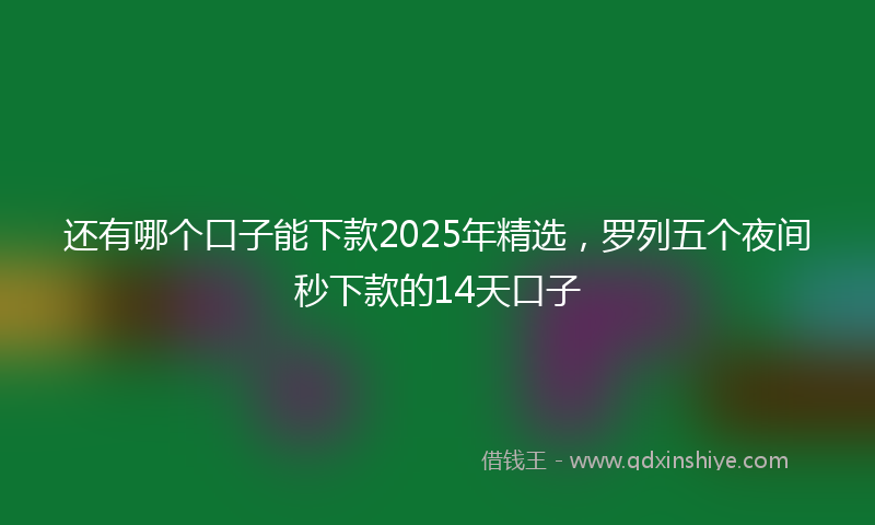 还有哪个口子能下款2025年精选，罗列五个夜间秒下款的14天口子