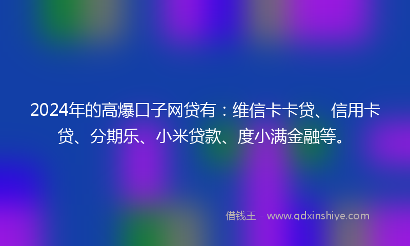 2024年的高爆口子网贷有：维信卡卡贷、信用卡贷、分期乐、小米贷款、度小满金融等。