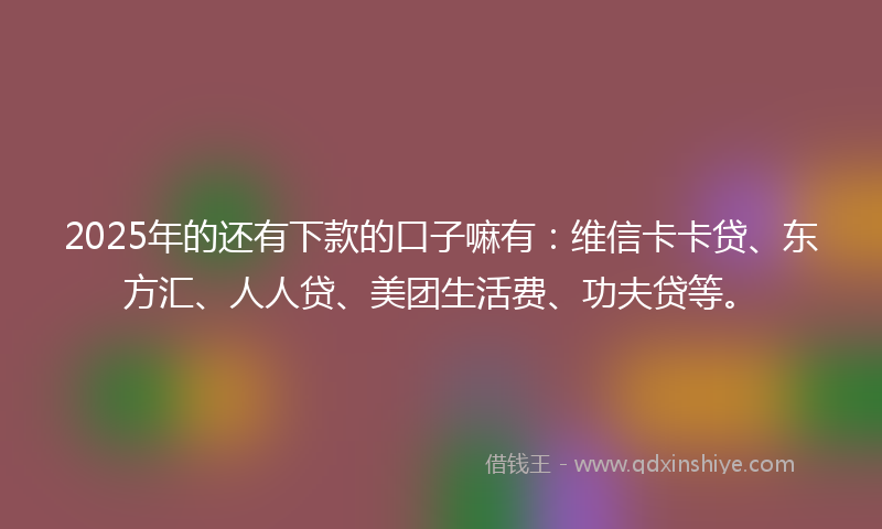 2025年的还有下款的口子嘛有：维信卡卡贷、东方汇、人人贷、美团生活费、功夫贷等。