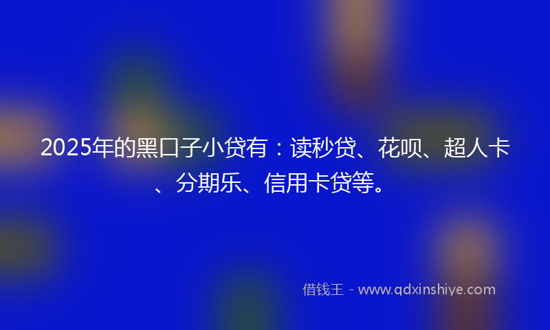 2025年的黑口子小贷有：读秒贷、花呗、超人卡、分期乐、信用卡贷等。