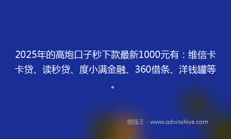 2025年的高炮口子秒下款最新1000元有：维信卡卡贷、读秒贷、度小满金融、360借条、洋钱罐等。