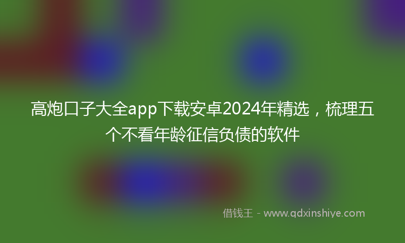 高炮口子大全app下载安卓2024年精选，梳理五个不看年龄征信负债的软件