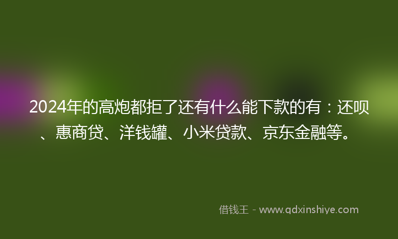 2024年的高炮都拒了还有什么能下款的有：还呗、惠商贷、洋钱罐、小米贷款、京东金融等。