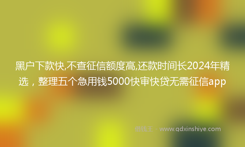 黑户下款快,不查征信额度高,还款时间长2024年精选，整理五个急用钱5000快审快贷无需征信app