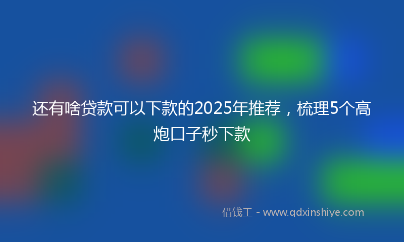 还有啥贷款可以下款的2025年推荐，梳理5个高炮口子秒下款
