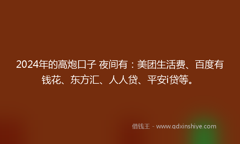 2024年的高炮口子 夜间有：美团生活费、百度有钱花、东方汇、人人贷、平安i贷等。
