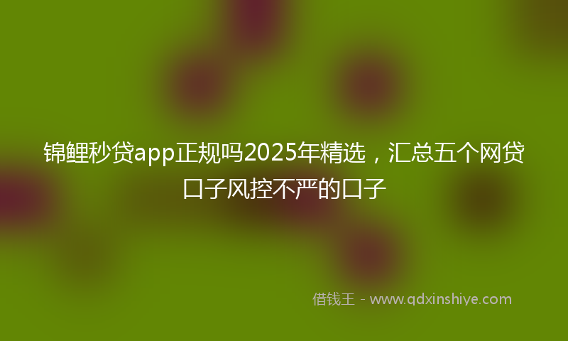 锦鲤秒贷app正规吗2025年精选，汇总五个网贷口子风控不严的口子