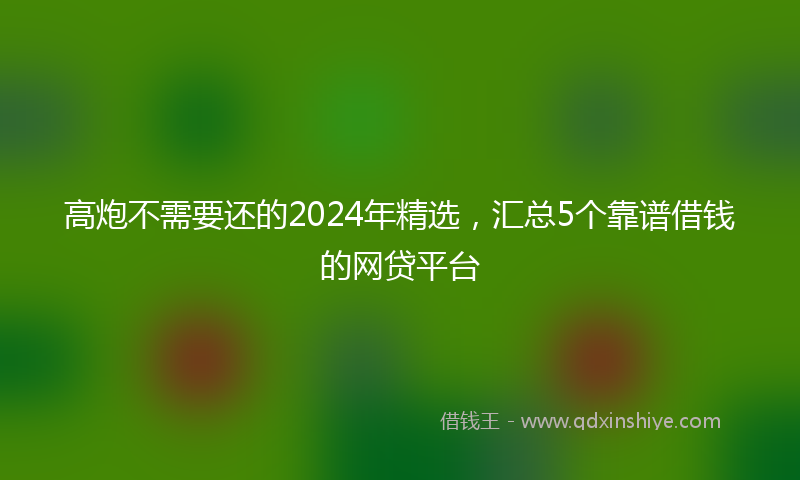高炮不需要还的2024年精选，汇总5个靠谱借钱的网贷平台