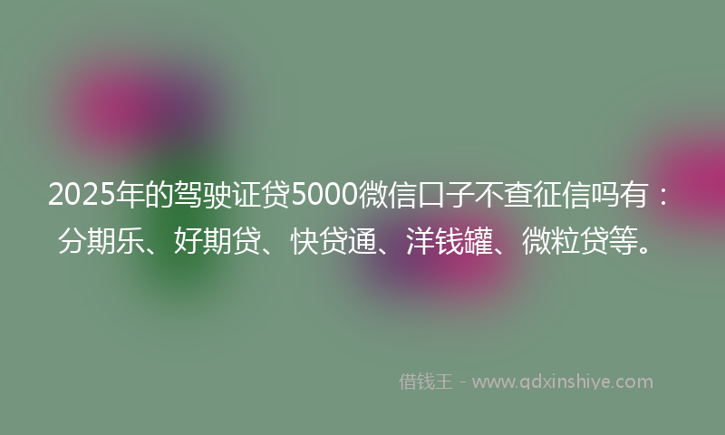 2025年的驾驶证贷5000微信口子不查征信吗有：分期乐、好期贷、快贷通、洋钱罐、微粒贷等。
