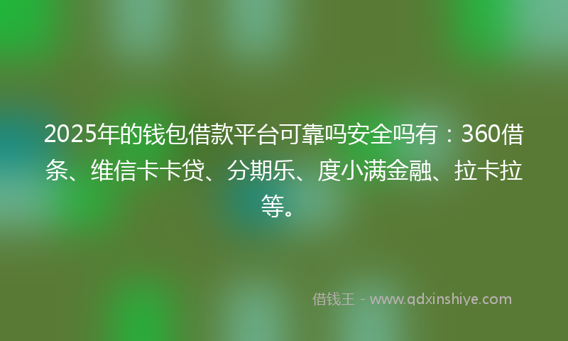 2025年的钱包借款平台可靠吗安全吗有：360借条、维信卡卡贷、分期乐、度小满金融、拉卡拉等。