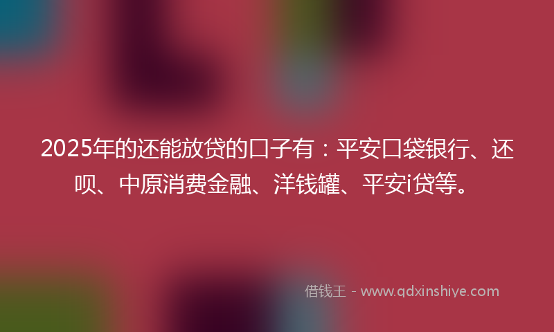 2025年的还能放贷的口子有：平安口袋银行、还呗、中原消费金融、洋钱罐、平安i贷等。