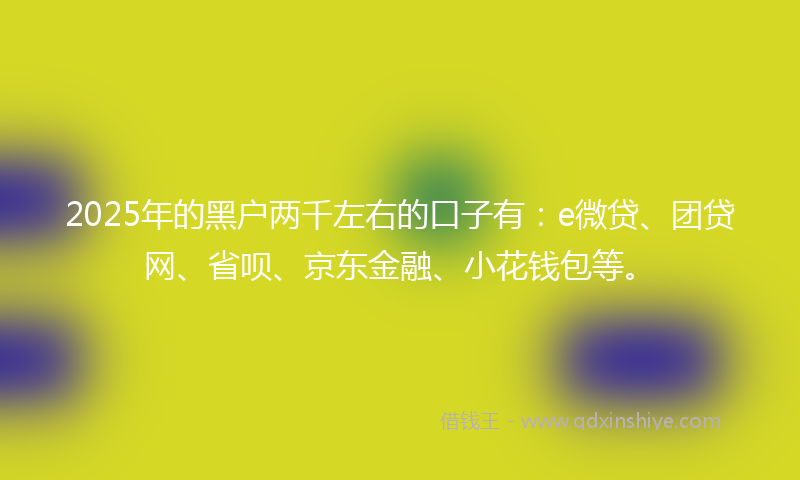 2025年的黑户两千左右的口子有：e微贷、团贷网、省呗、京东金融、小花钱包等。