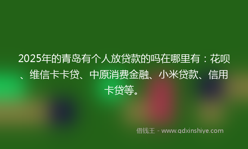 2025年的青岛有个人放贷款的吗在哪里有：花呗、维信卡卡贷、中原消费金融、小米贷款、信用卡贷等。