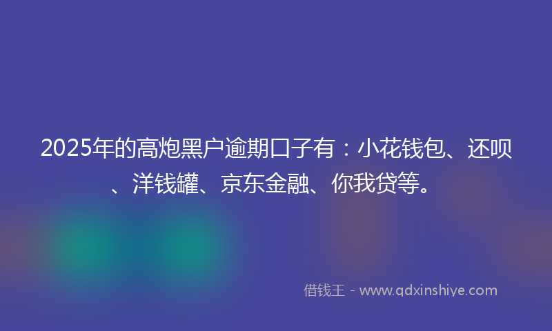 2025年的高炮黑户逾期口子有：小花钱包、还呗、洋钱罐、京东金融、你我贷等。