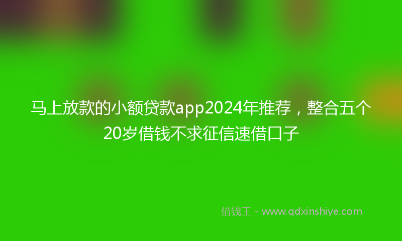 马上放款的小额贷款app2024年推荐，整合五个20岁借钱不求征信速借口子