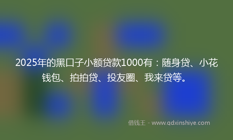 2025年的黑口子小额贷款1000有：随身贷、小花钱包、拍拍贷、投友圈、我来贷等。