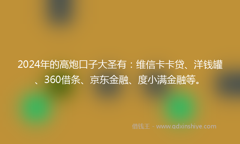 2024年的高炮口子大圣有：维信卡卡贷、洋钱罐、360借条、京东金融、度小满金融等。