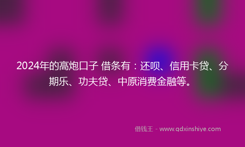 2024年的高炮口子 借条有：还呗、信用卡贷、分期乐、功夫贷、中原消费金融等。