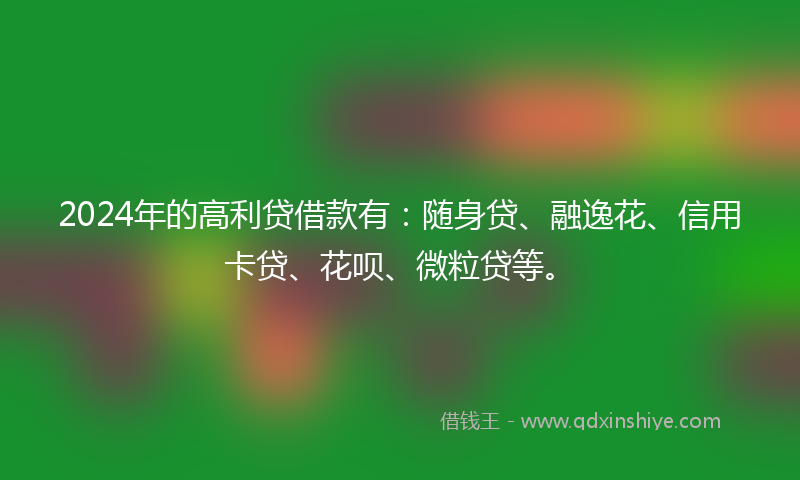 2024年的高利贷借款有：随身贷、融逸花、信用卡贷、花呗、微粒贷等。