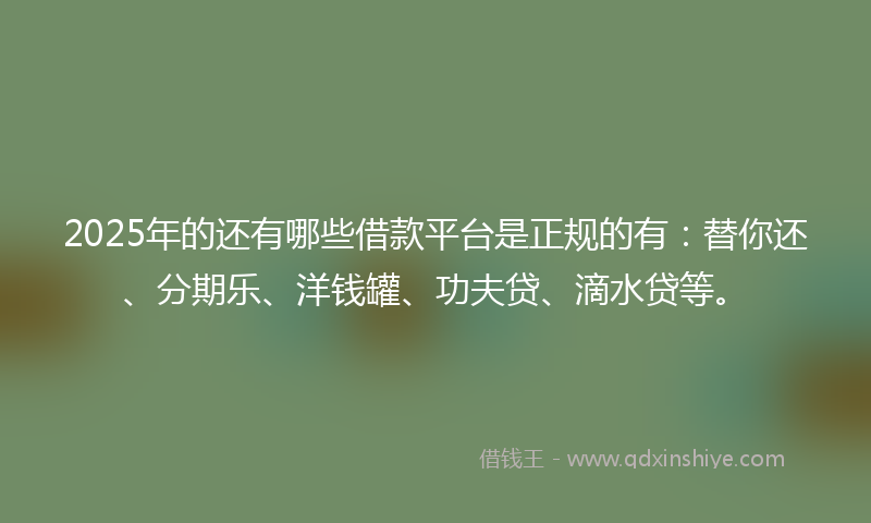 2025年的还有哪些借款平台是正规的有：替你还、分期乐、洋钱罐、功夫贷、滴水贷等。