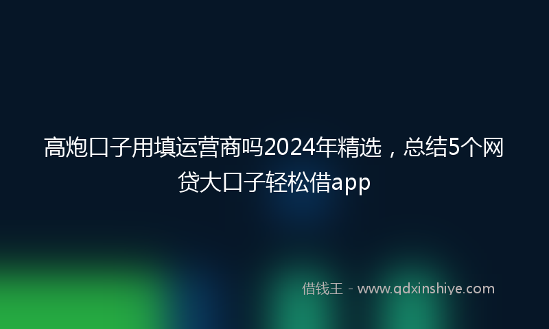 高炮口子用填运营商吗2024年精选，总结5个网贷大口子轻松借app